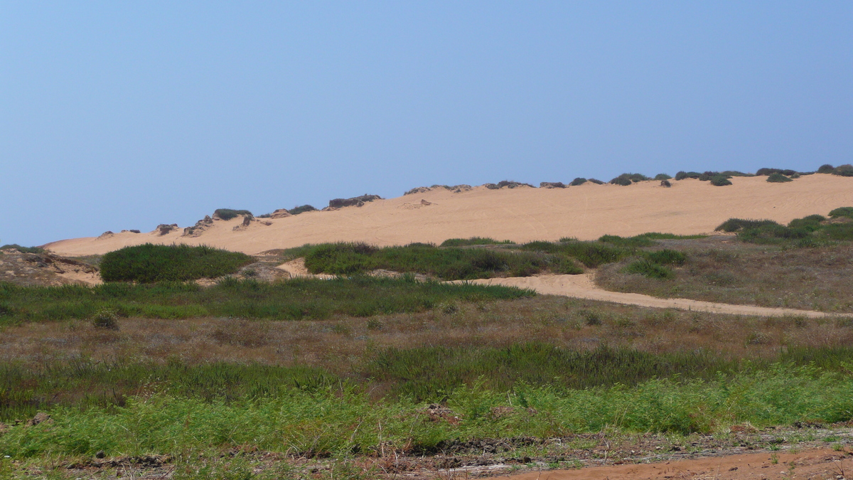 照片 以色列(Israel) 特拉维夫(Tel Aviv) 特拉维夫北区(North Tel Aviv) 2007-06 50