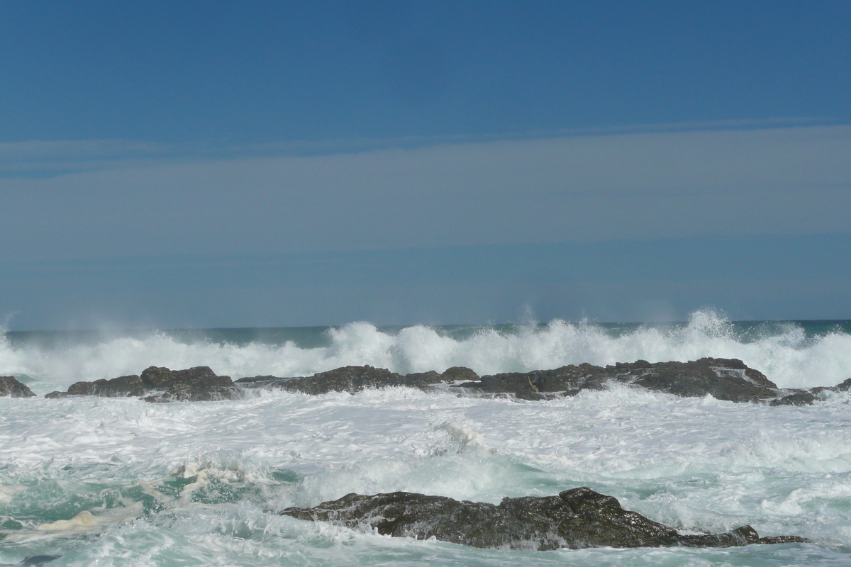 照片 南非(South Africa) 齐齐卡马国家公园(Tsitsikamma National Park) 2008-09 268