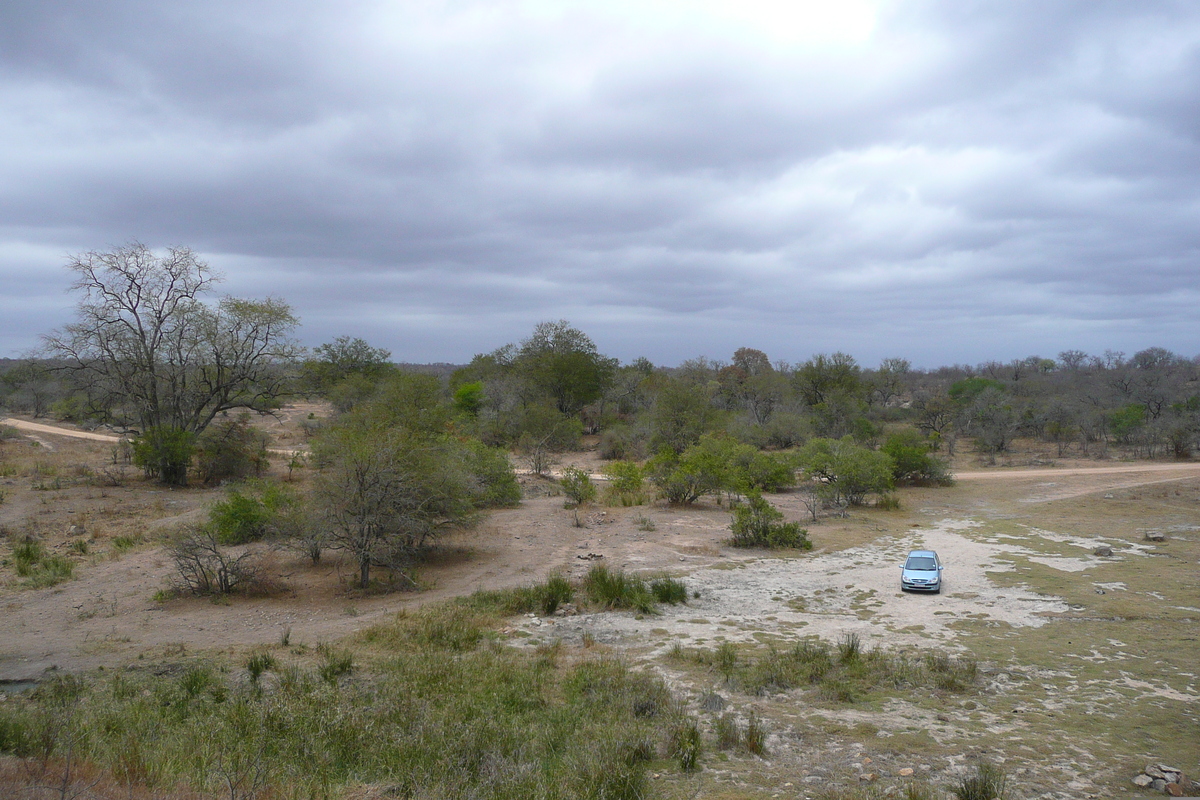 照片 南非(South Africa) 克鲁格国家公园(Kruger National Park) 姆蓬多(Mpondo) 2008-09 43