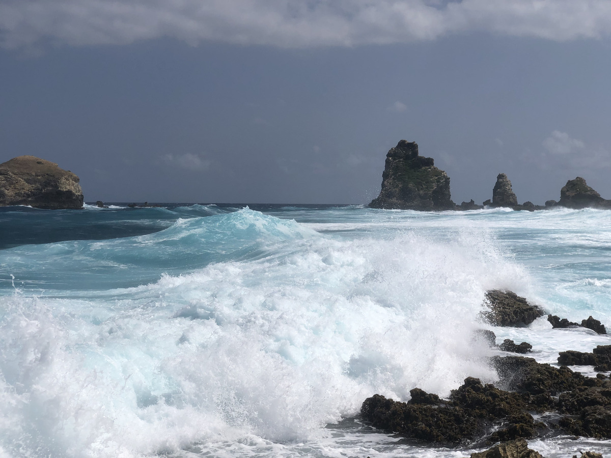 照片 瓜德罗普(Guadeloupe) 城堡角(Castle Point) 2021-02 339