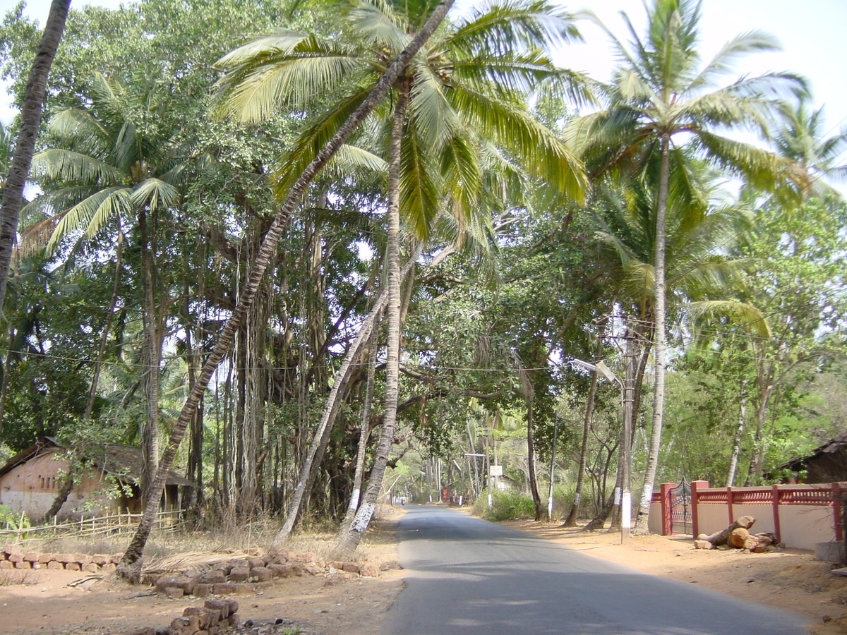 照片 印度(India) 果阿(Goa) 2003-05 13