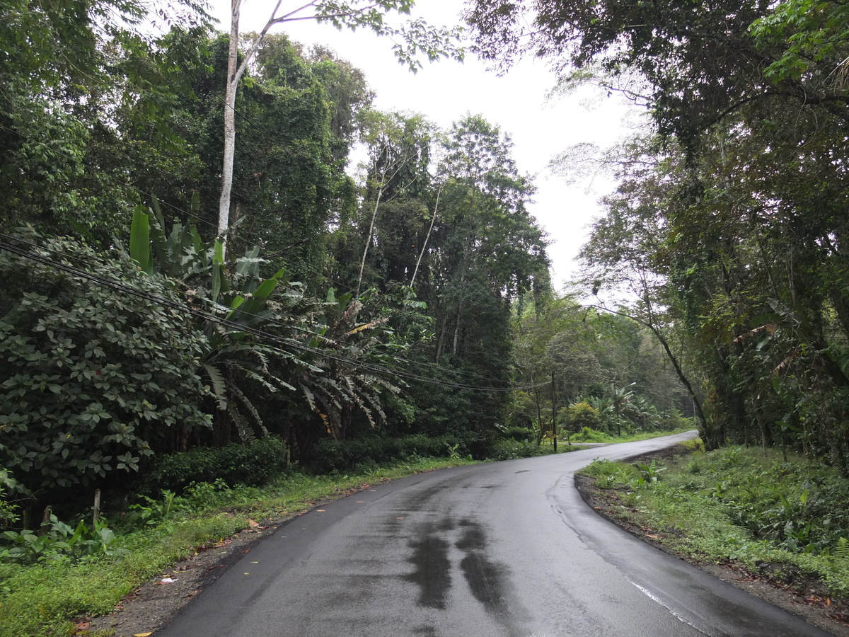 照片 哥斯达黎加(Costa Rica) 塔拉曼卡旧港(Puerto Viejo de Talamanca) 2015-03 37