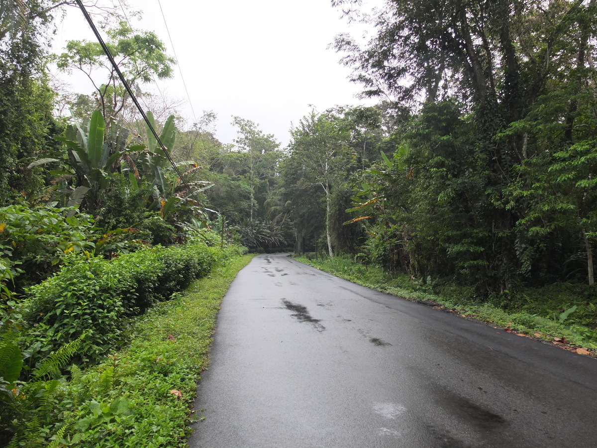 照片 哥斯达黎加(Costa Rica) 塔拉曼卡旧港(Puerto Viejo de Talamanca) 2015-03 24