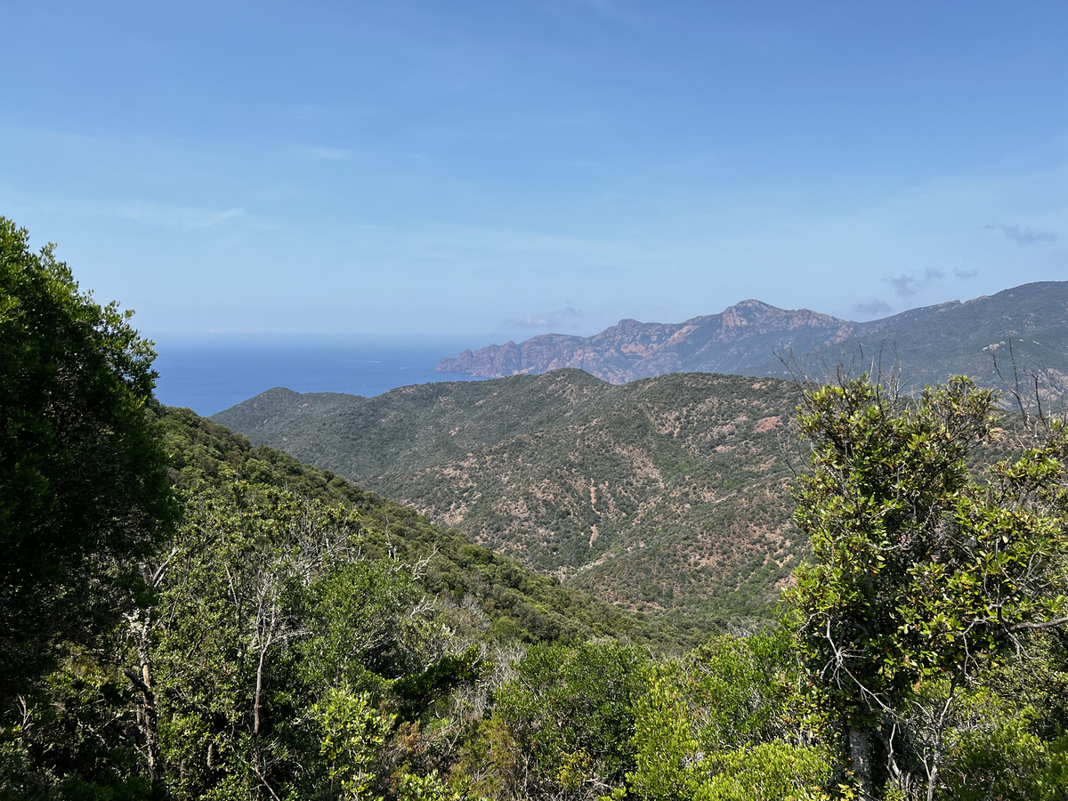 照片 法国(France) 科西嘉岛(Corsica) 奥萨尼(Osani) 2023-06 3