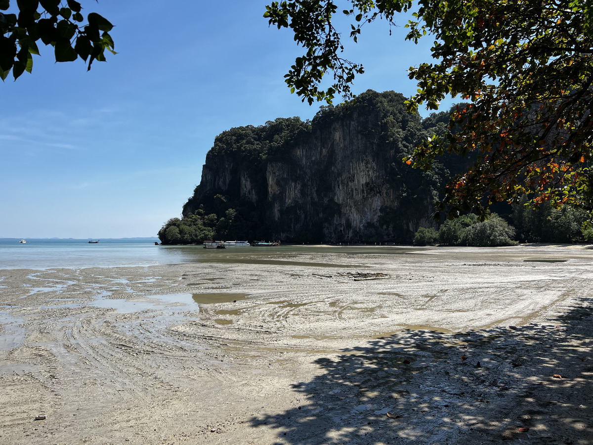 照片 泰国(Thailand) 甲米(Krabi) 2023-01 179