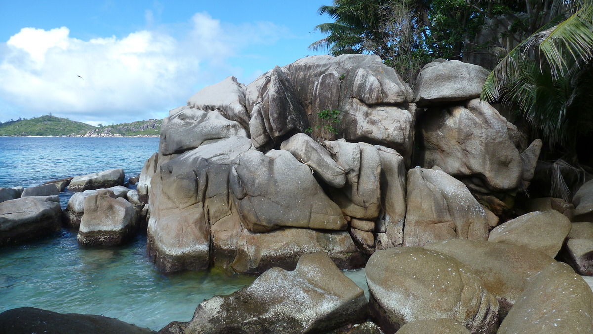 照片 塞舌尔(Seychelles) 椰子岛(Coco Island) 2011-10 15