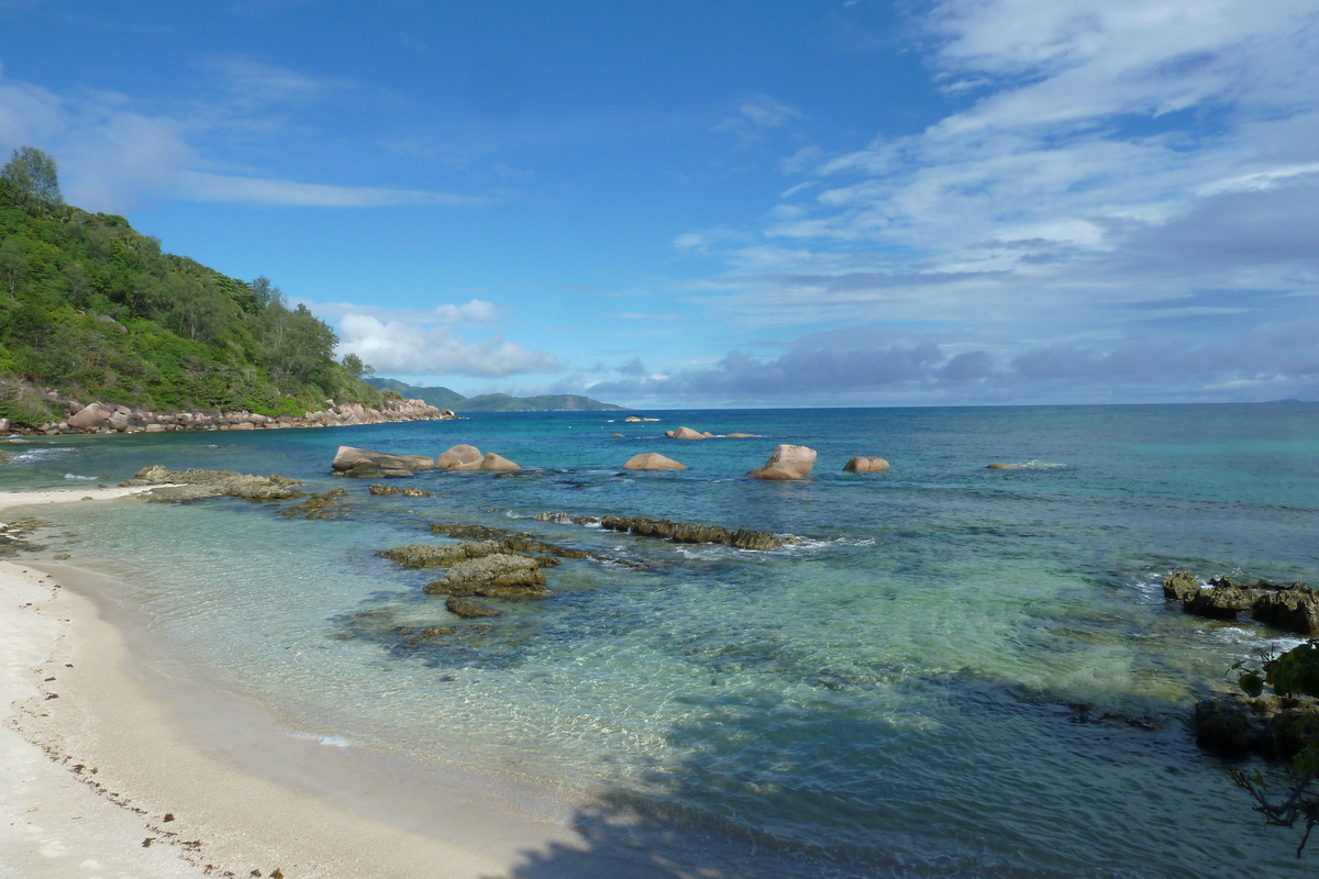 照片 塞舌尔(Seychelles) 普拉兰岛(Praslin) 2011-10 218