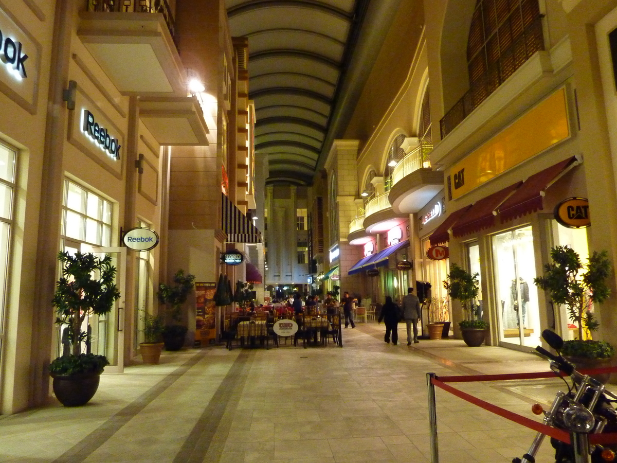 照片 阿联酋(United Arab Emirates) 迪拜(Dubai) 迪拜购物中心(The Dubai Mall) 2009-12 39