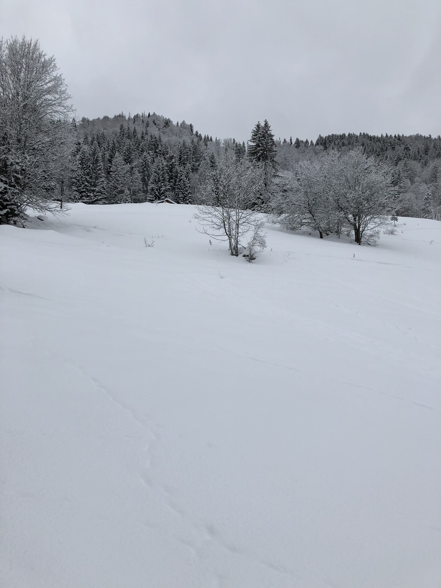 照片 法国(France) 拉克吕萨(La Clusaz) 2017-12 8