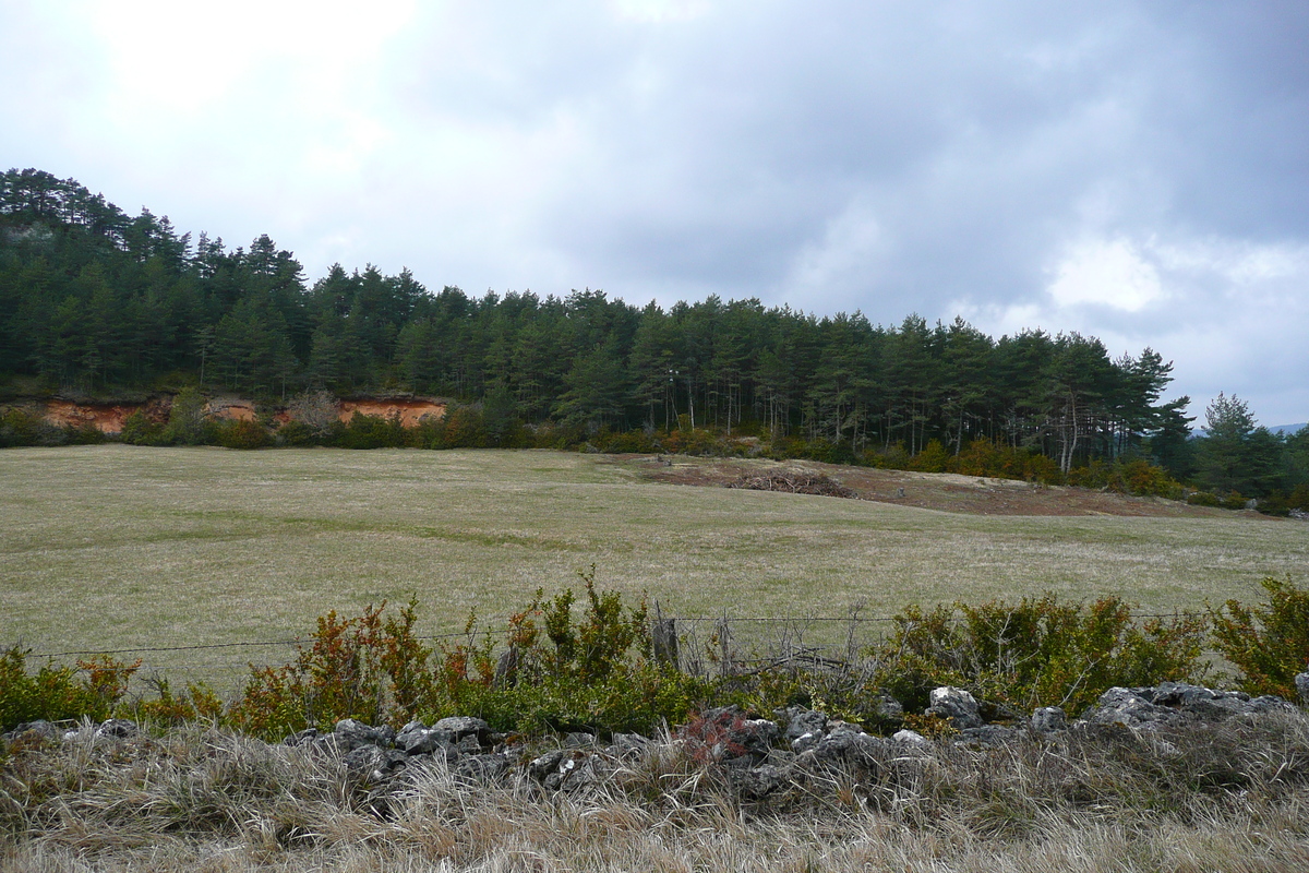 照片 法国(France) 奥布拉克(L'Aubrac) 2008-04 3