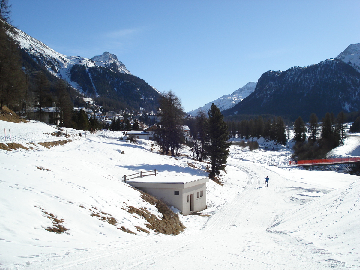 照片 瑞士(Switzerland) 蓬特雷西纳(Pontresina) 2007-01 59