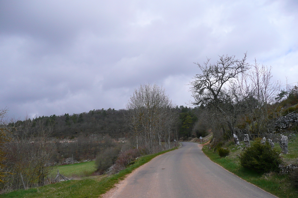 照片 法国(France) 奥布拉克(L'Aubrac) 2008-04 115