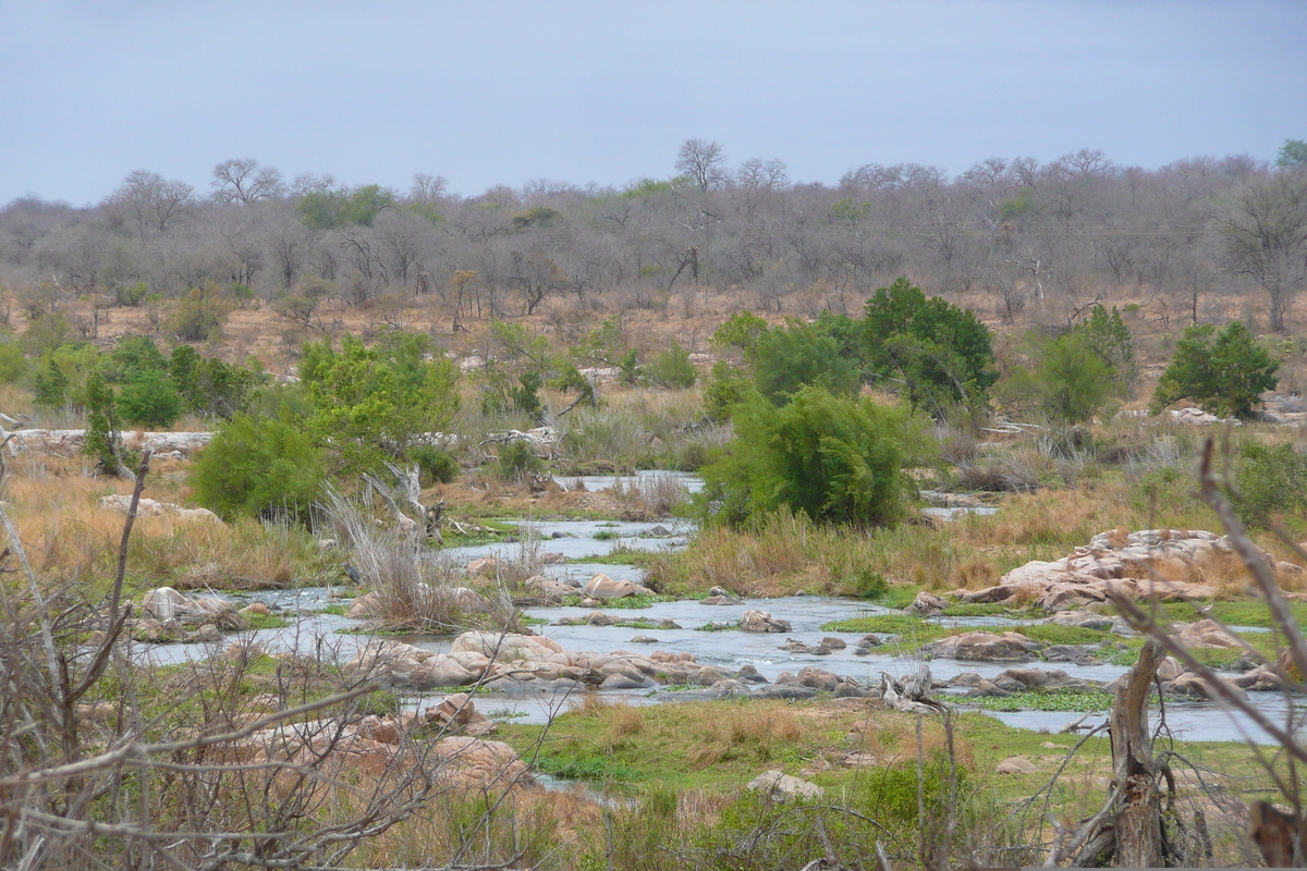 照片 南非(South Africa) 克鲁格国家公园(Kruger National Park) 鳄鱼河(Crocodile River) 2008-09 43