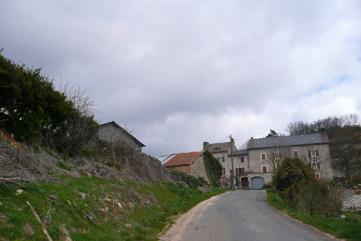 照片 法国(France) 奥布拉克(L'Aubrac) 2008-04 100