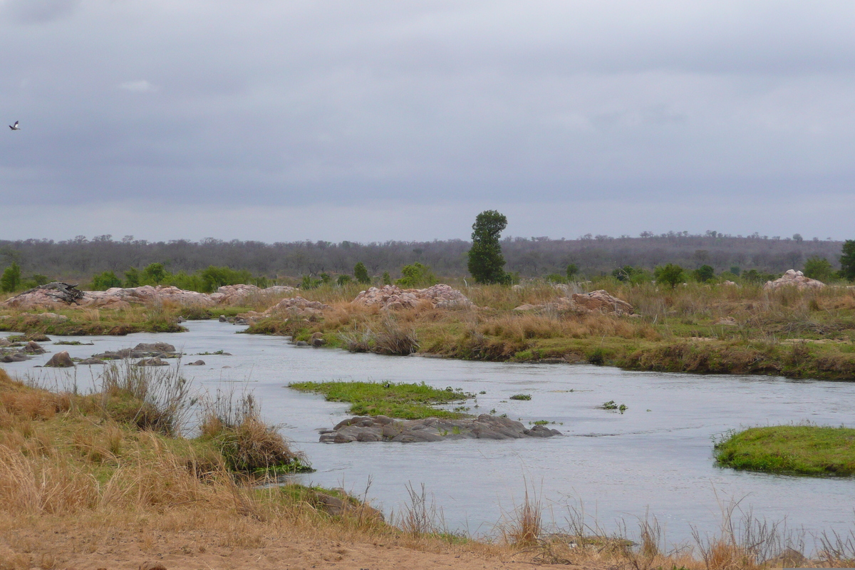 照片 南非(South Africa) 克鲁格国家公园(Kruger National Park) 鳄鱼河(Crocodile River) 2008-09 37