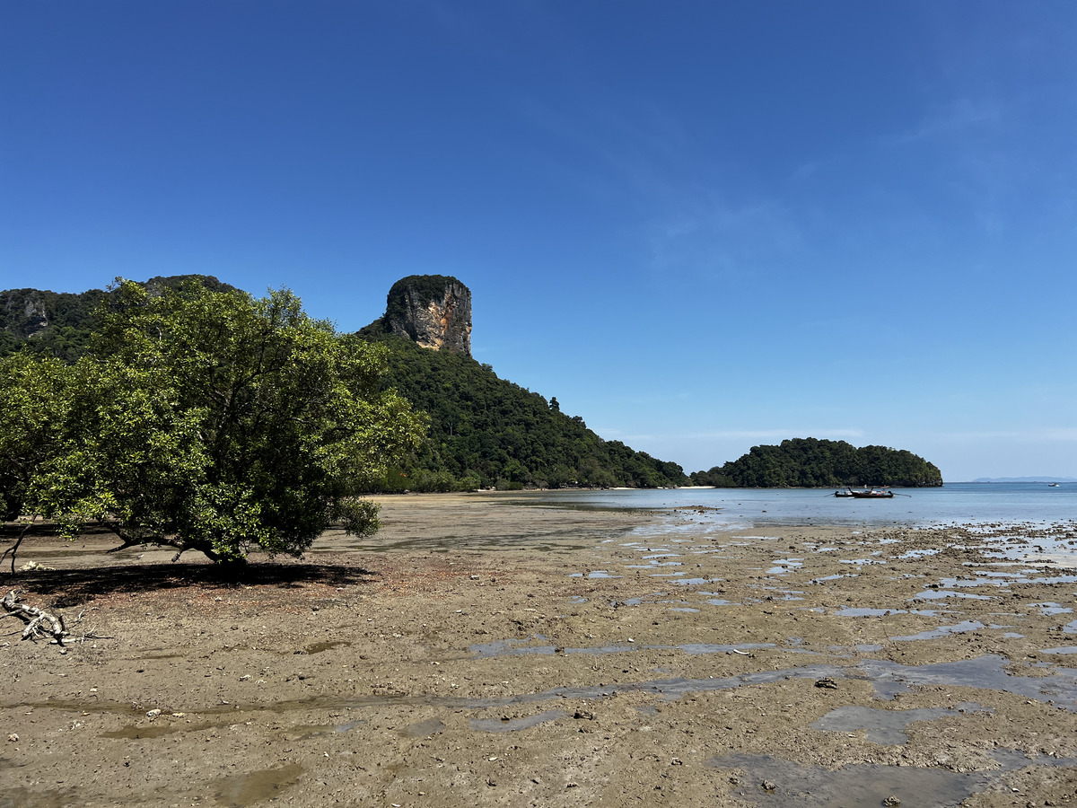 照片 泰国(Thailand) 甲米(Krabi) 2023-01 293