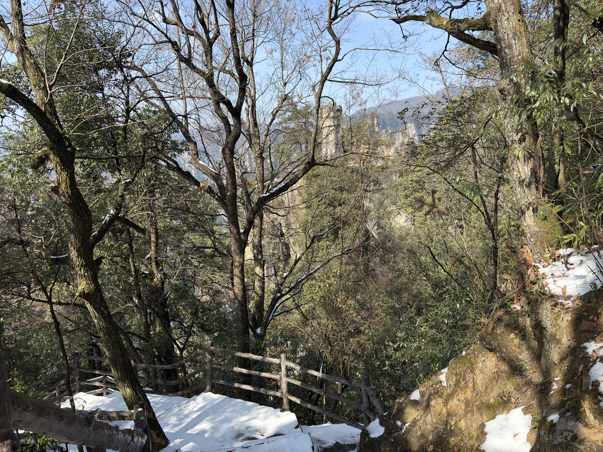 照片 中国(China) 张家界(Zhangjiajie) 天子山(Tianzi Mountain) 2026-01 208