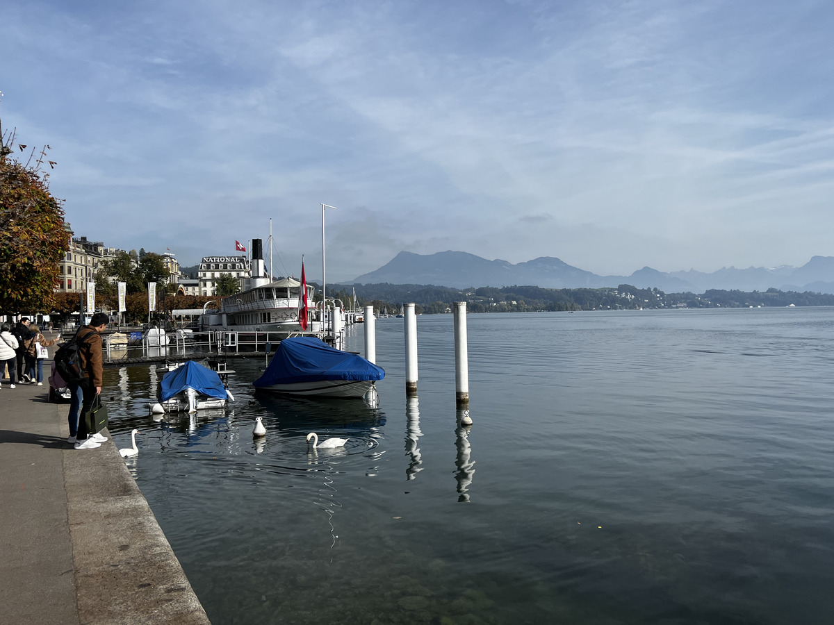 照片 瑞士(Switzerland) 卢塞恩(Lucerne) 2023-10 35