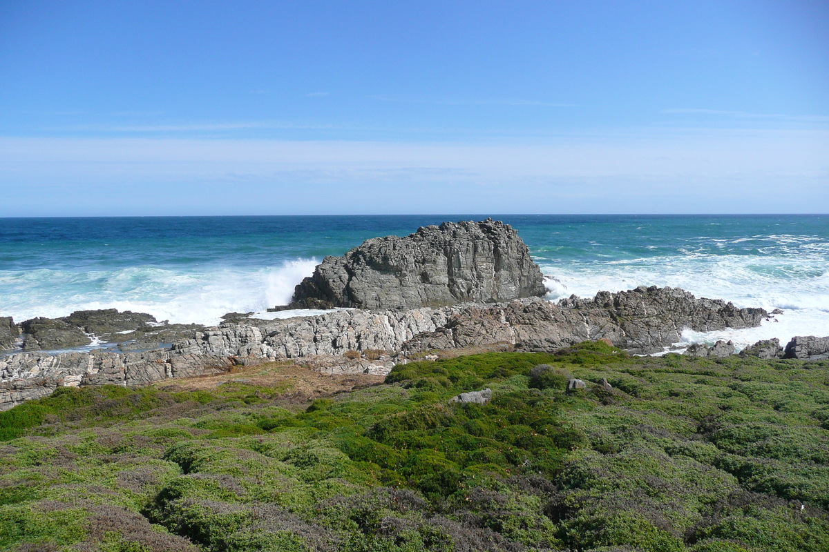 照片 南非(South Africa) 齐齐卡马国家公园(Tsitsikamma National Park) 2008-09 39