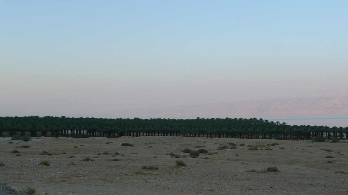 照片 以色列(Israel) 死海(Dead Sea) 2007-06 81