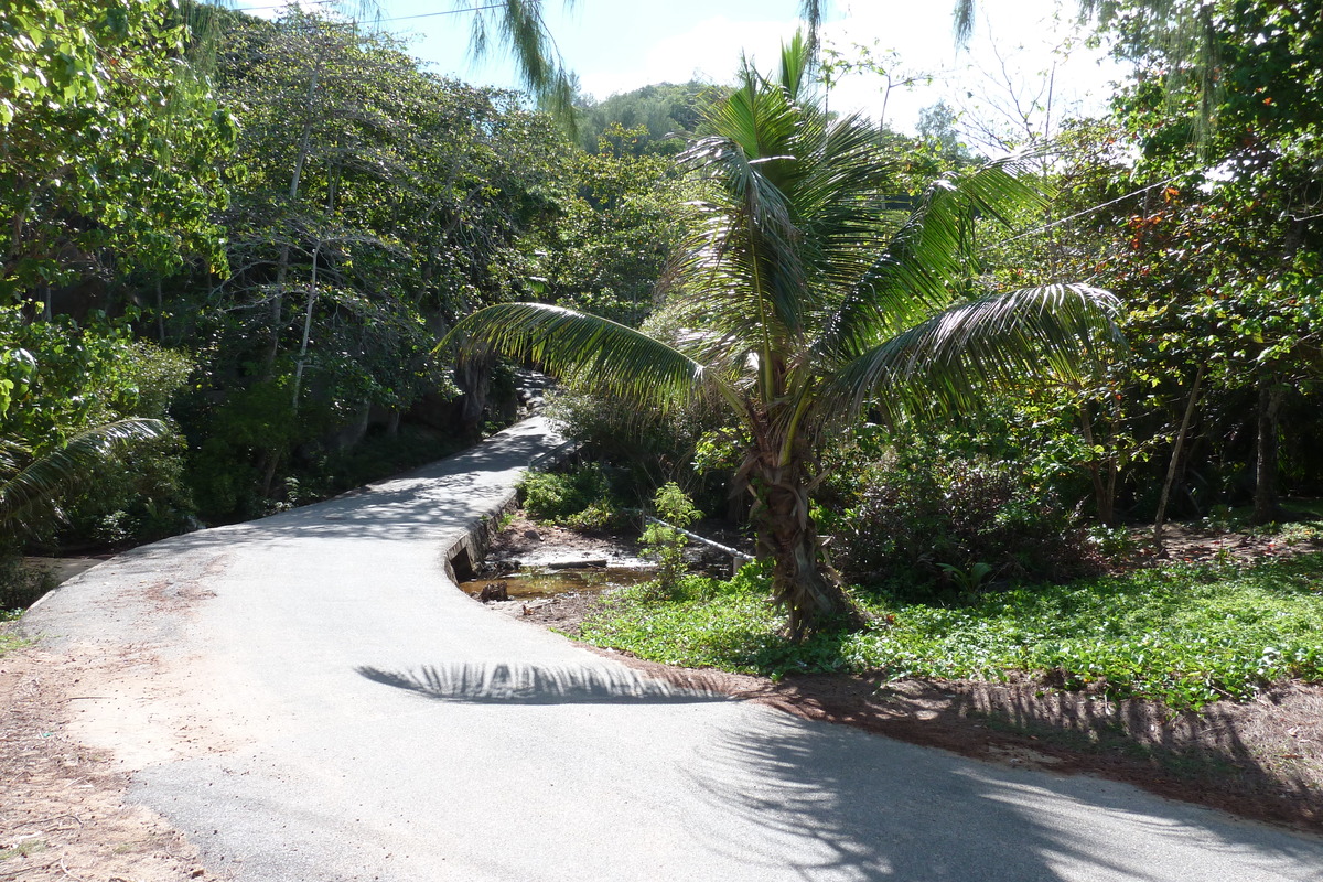 照片 塞舌尔(Seychelles) 普拉兰岛(Praslin) 2011-10 132