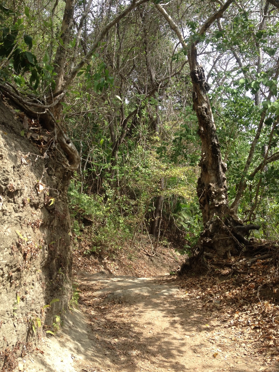 照片 哥斯达黎加(Costa Rica) 蒙特苏马(Montezuma) 2015-03 112