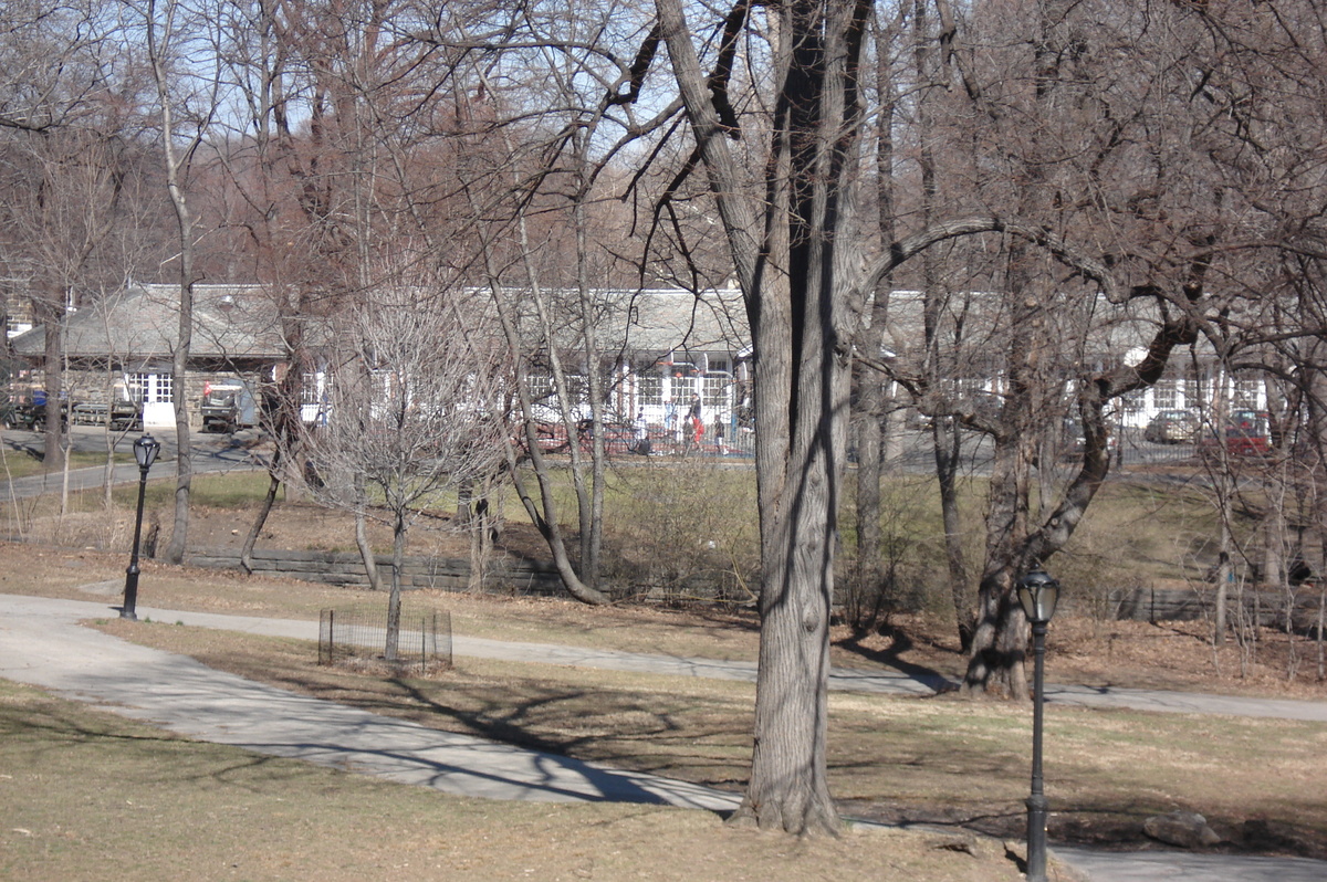 照片 美国(United States) 纽约(New York) 中央公园(Central Park) 2006-03 57