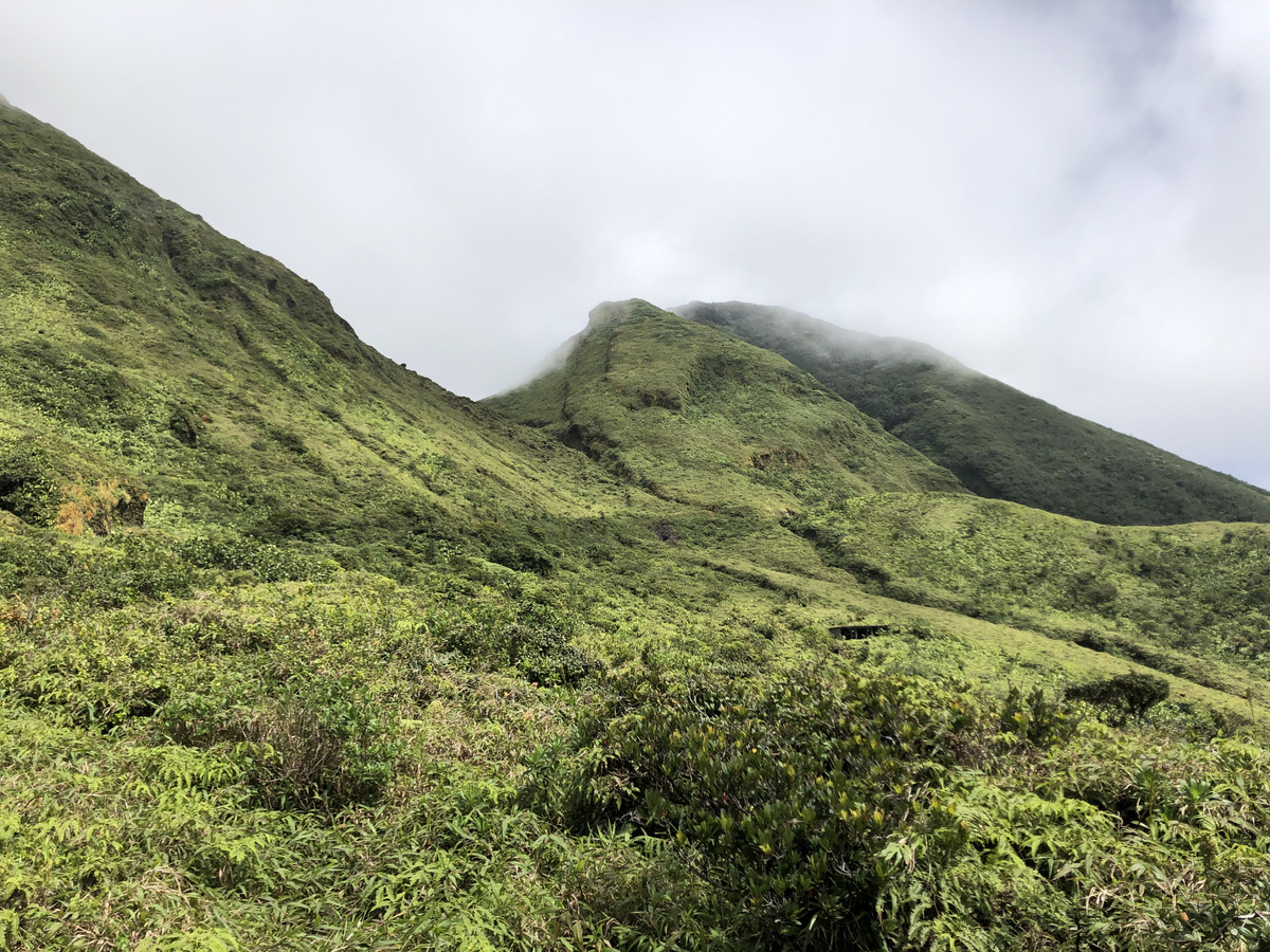 照片 瓜德罗普(Guadeloupe) 大苏弗里耶尔火山(La Grande Soufriere) 2021-02 64