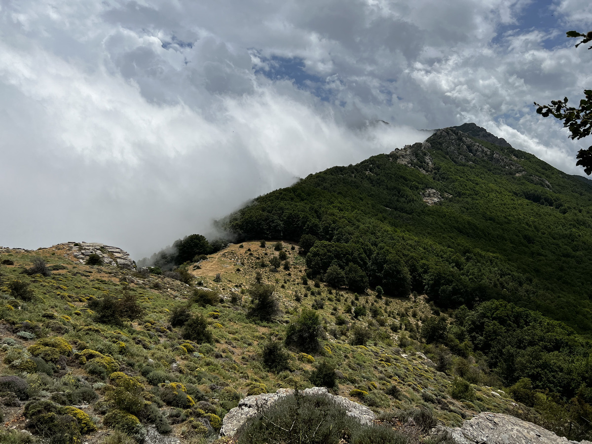 照片 法国(France) 科西嘉岛(Corsica) 卡莱鲁丘山屋(Refuge de Callerucciu) 2022-06 49