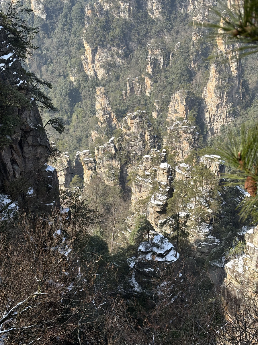 照片 中国(China) 张家界(Zhangjiajie) 天子山(Tianzi Mountain) 2026-01 21