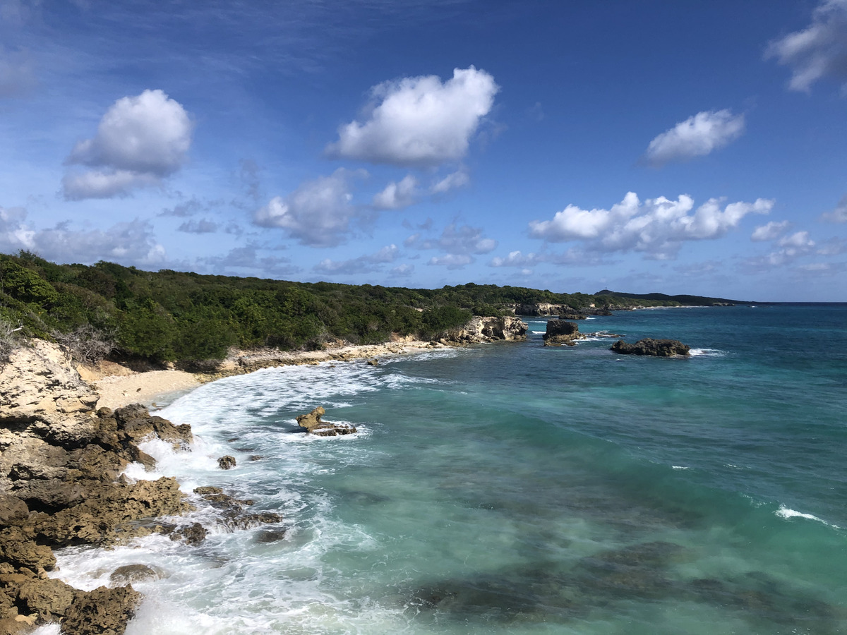 照片 瓜德罗普(Guadeloupe) 圣弗朗索瓦(Saint Francois) 2021-02 20