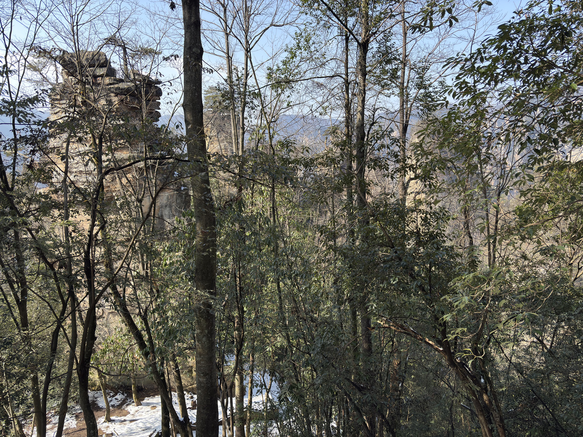 照片 中国(China) 张家界(Zhangjiajie) 天子山(Tianzi Mountain) 2026-01 331