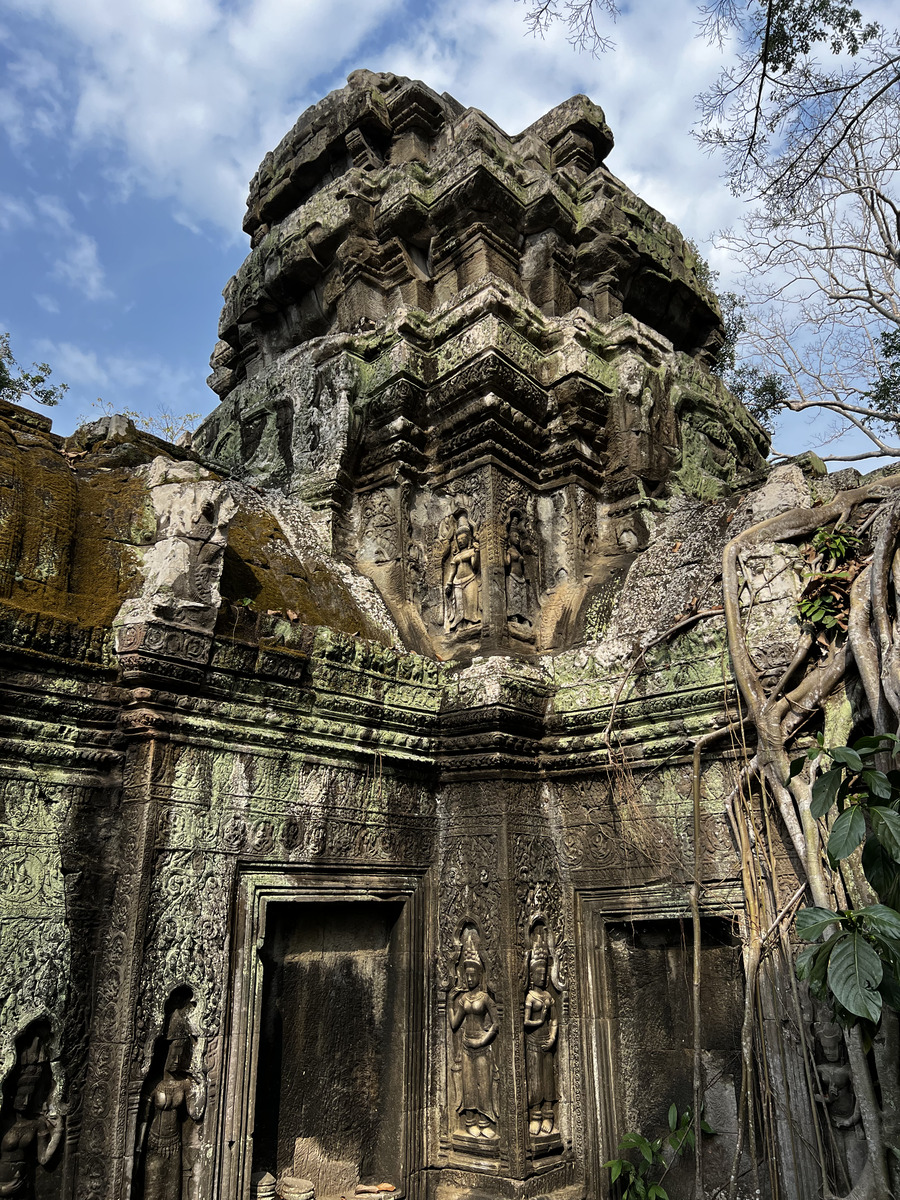 照片 柬埔寨(Cambodia) 暹粒(Siem Reap) 塔布茏寺(Ta Prohm) 2023-01 103