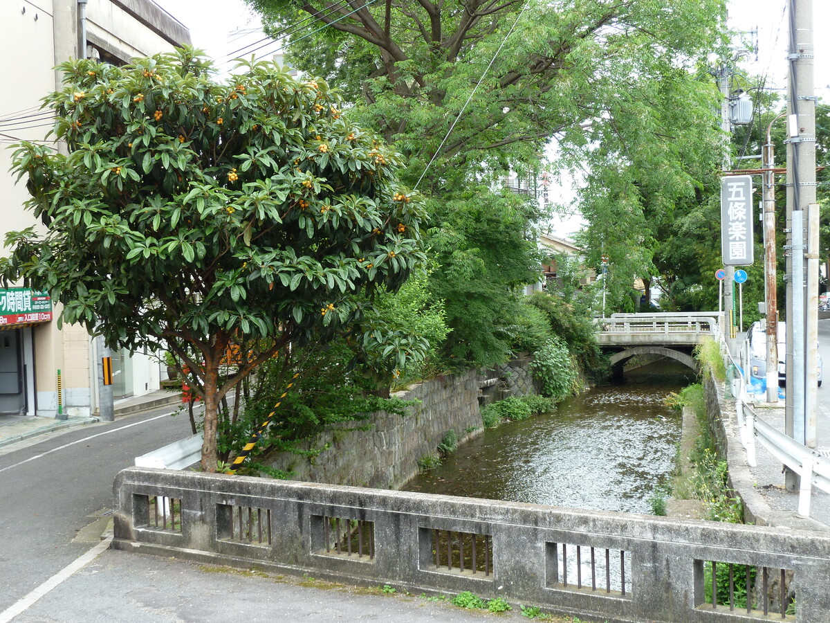 照片 日本(Japan) 京都(Kyoto) 2010-06 81