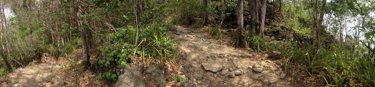 照片 哥斯达黎加(Costa Rica) 蒙特苏马(Montezuma) 2015-03 548
