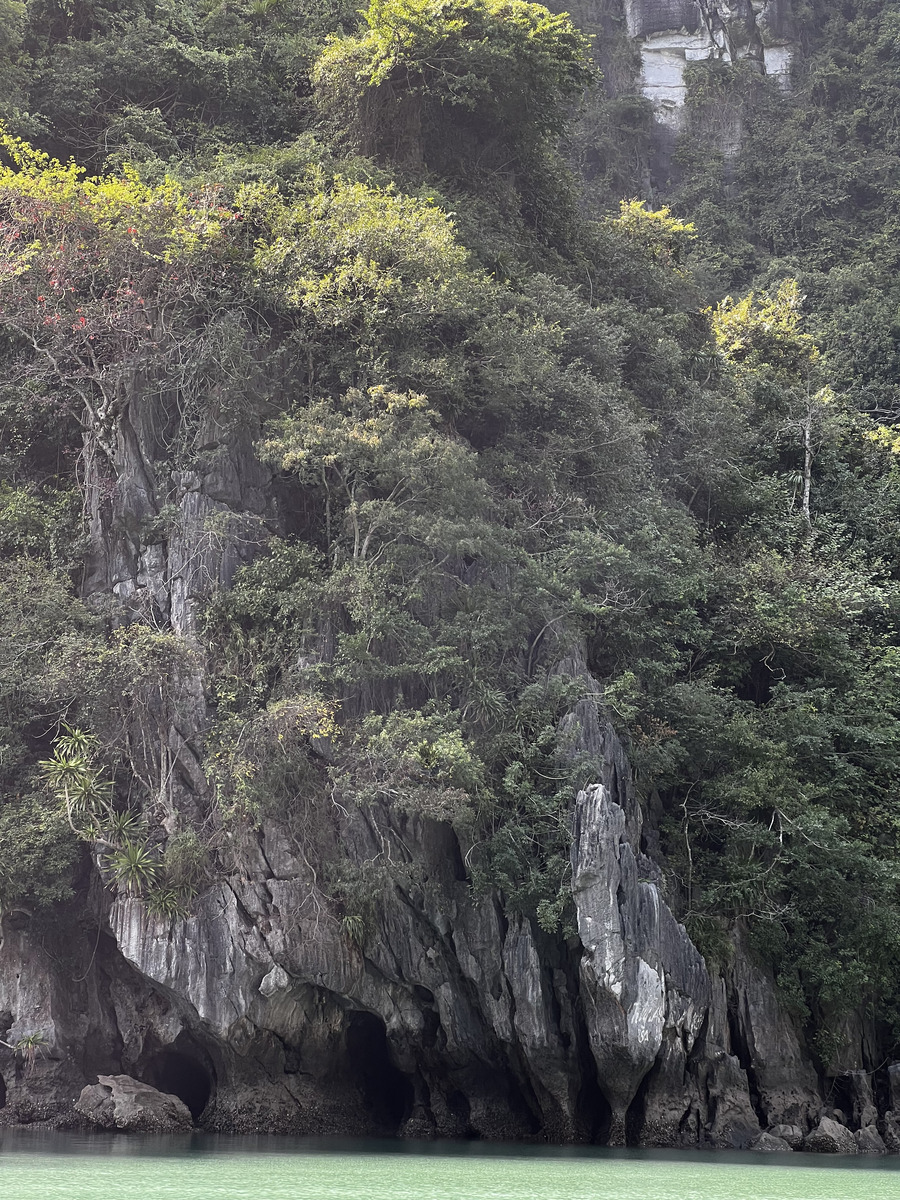 照片 越南(Vietnam) 下龙湾(Ha Long Bay) 2024-01 48