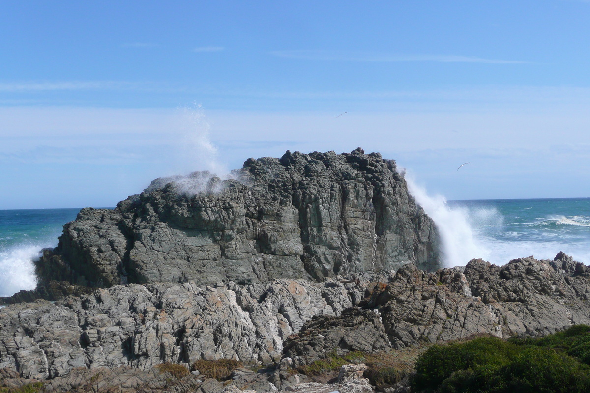 照片 南非(South Africa) 齐齐卡马国家公园(Tsitsikamma National Park) 2008-09 36