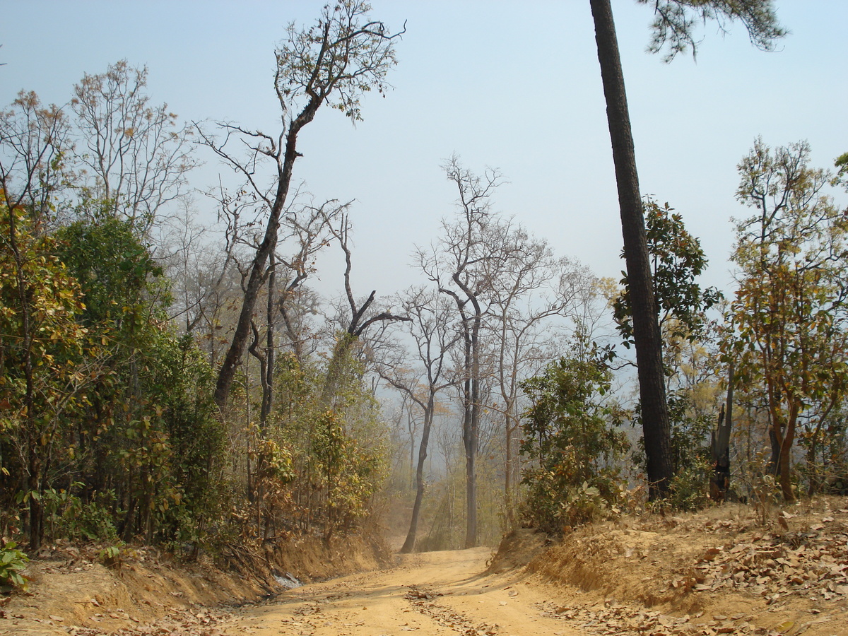 照片 泰国(Thailand) 邦玛帕(Pang Mapha) 2007-02 3