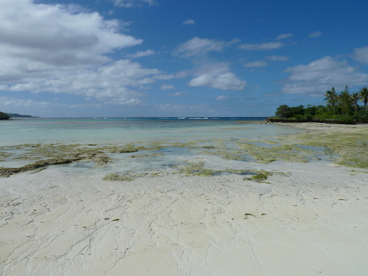 照片 新喀里多尼亚(New Caledonia) 利富岛(Lifou) 穆(Mu) 2010-05 35