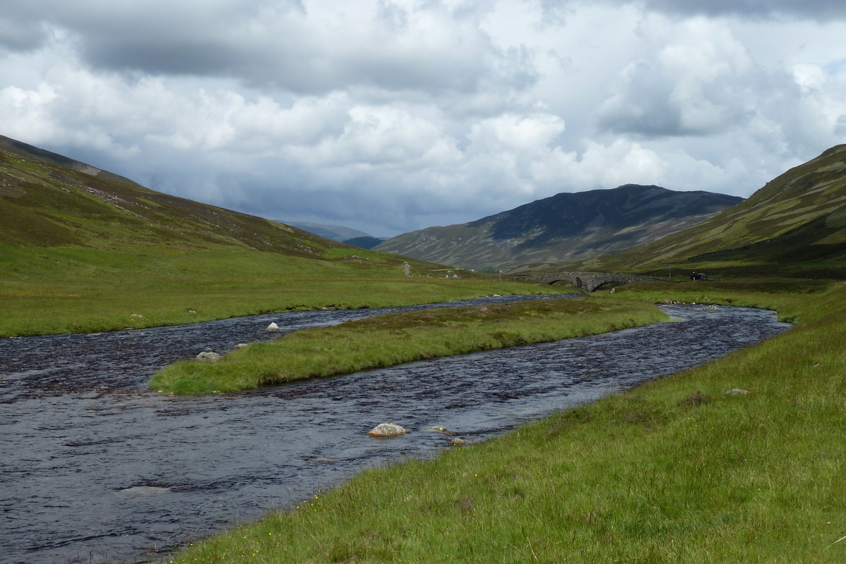 照片 英国(United Kingdom) 凯恩戈姆山国家公园(Cairngorms National Park) 2011-07 99