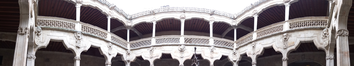 照片 西班牙(Spain) 萨拉曼卡(Salamanca) 2013-01 178