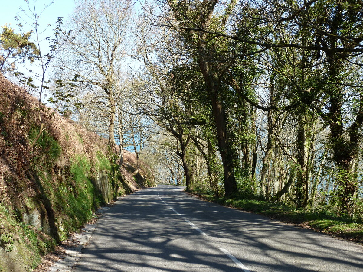 照片 泽西岛(Jersey) 2010-04 27