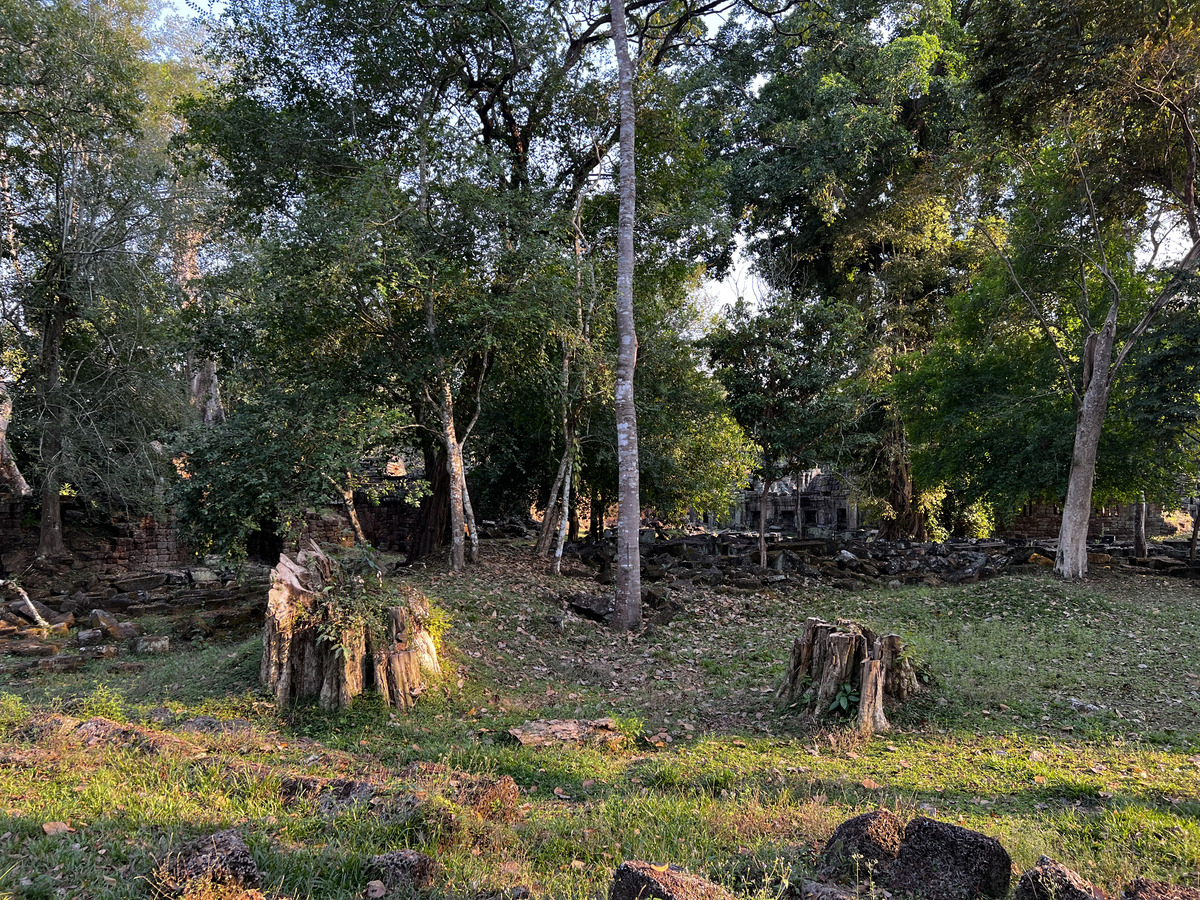 照片 柬埔寨(Cambodia) 暹粒(Siem Reap) 圣剑寺(Preah Khan) 2023-01 64