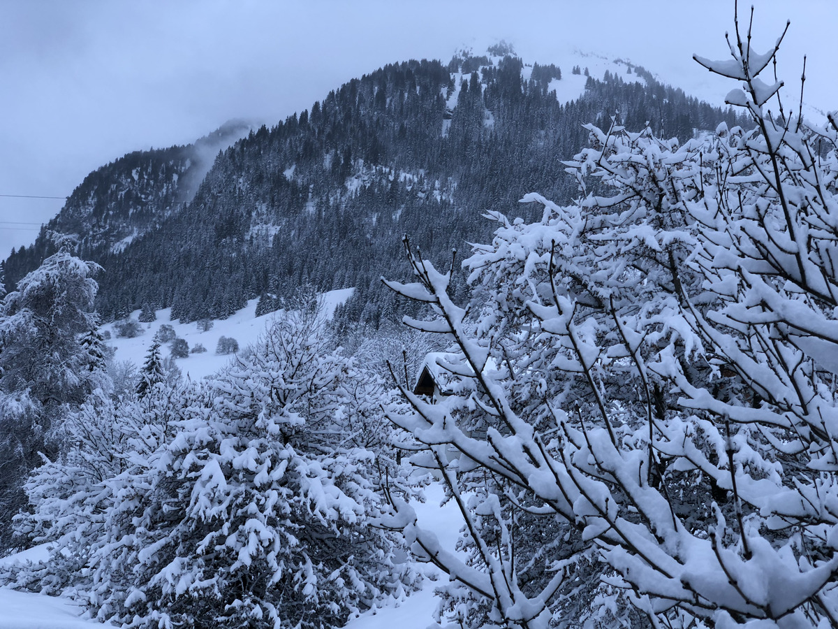 照片 法国(France) 拉克吕萨(La Clusaz) 2017-12 332