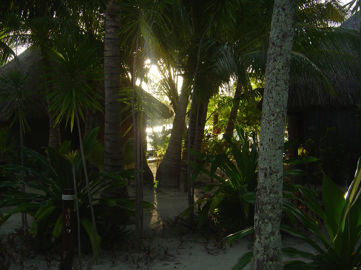 照片 波利尼西亚(Polynesia) 波拉波拉艾美酒店(Meridien Bora Bora Hotel) 2006-04 44