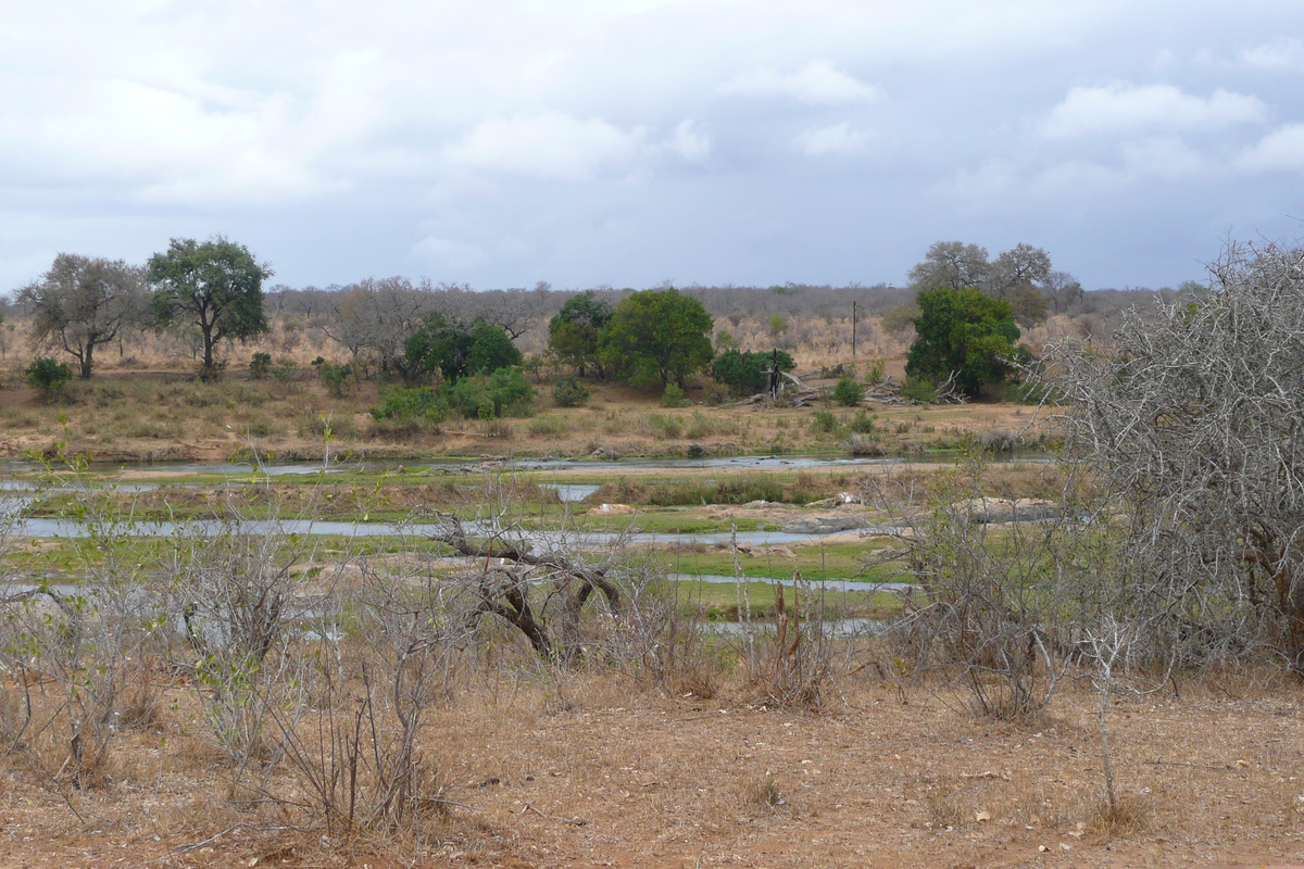 照片 南非(South Africa) 克鲁格国家公园(Kruger National Park) 鳄鱼河(Crocodile River) 2008-09 71