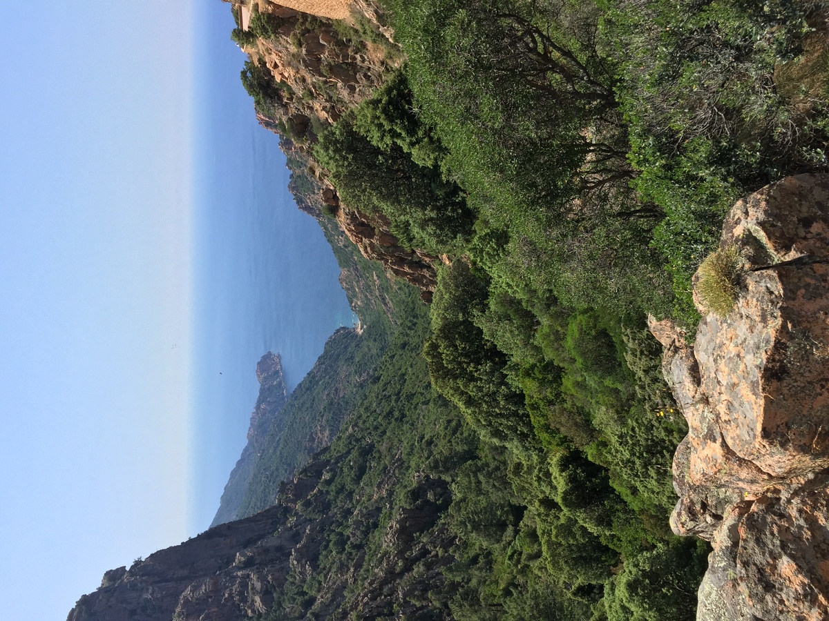 照片 法国(France) 科西嘉岛(Corsica) 皮亚纳峡湾(Calanques de Piana) 2015-05 7