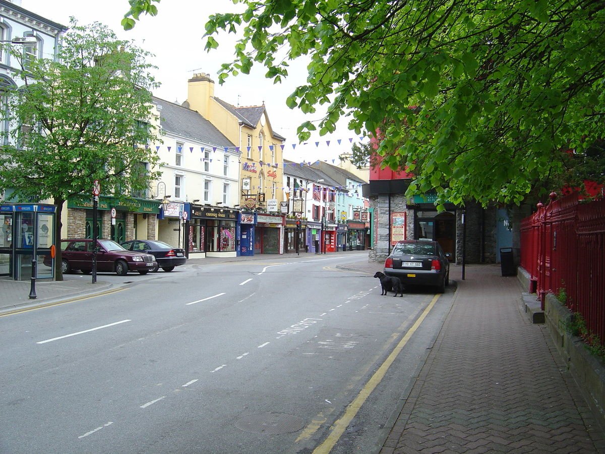照片 爱尔兰(Ireland) 凯里郡(Kerry) 基拉尼(Killarney) 2004-05 0
