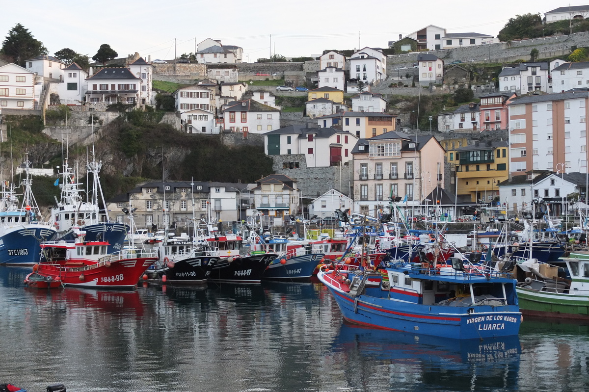 照片 西班牙(Spain) 卢阿尔卡(Luarca) 2013-01 55