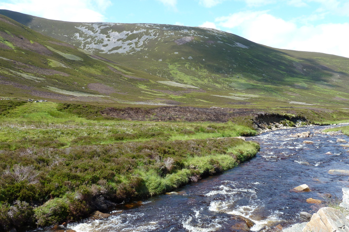 照片 英国(United Kingdom) 凯恩戈姆山国家公园(Cairngorms National Park) 2011-07 82
